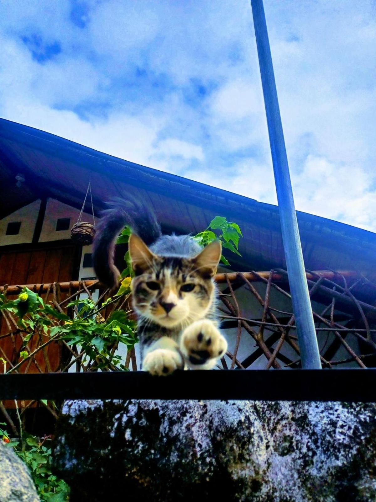 Casa Annunakis ซานอากุสติน ภายนอก รูปภาพ